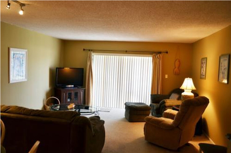 living room with dimmed lighting, two couches, a chair, and a tv