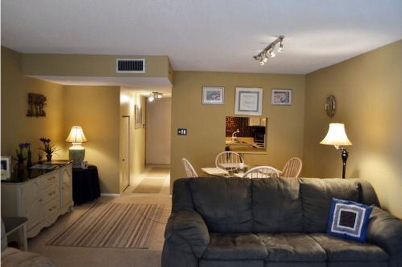 furnished room with a dining table, couch, and storage