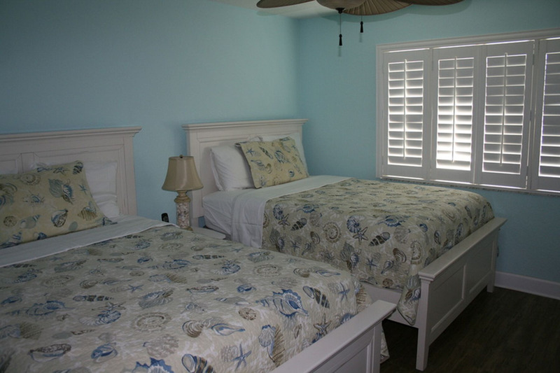 two full size beds in the spare bedroom with blue walls
