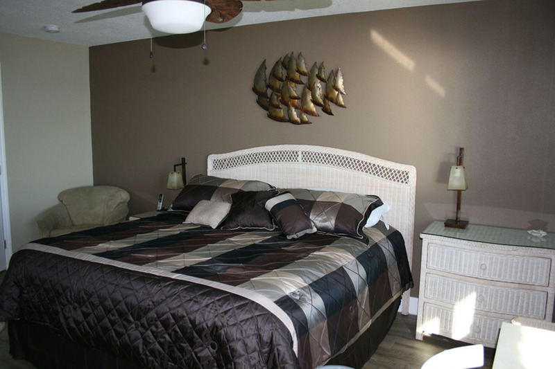 large dark colored checkered bed with lots of light coming from the window into the room