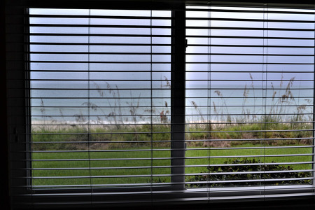 View from Master Bedroom