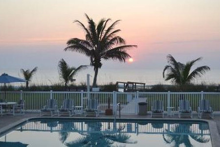 pool at sunrise with palm trees
