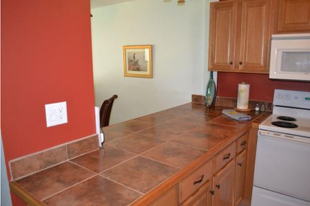 red-orange countertop with wood colored cabinets in kitchen