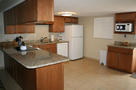 kitchen with refrigerator, dishwasher and microwave