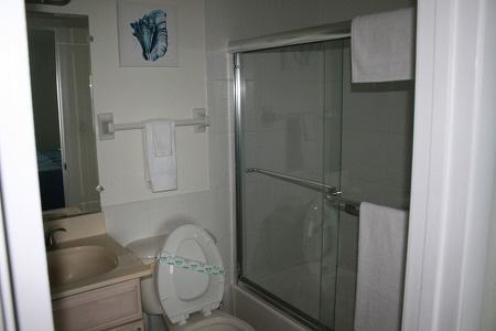 bathroom with walk in shower and tub combo